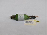 藏品(五色鳥)的圖片